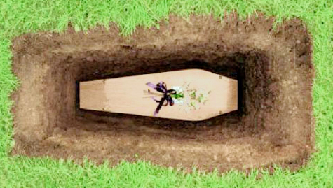 6ce4b358238049ddbb78a16dde1db2ff