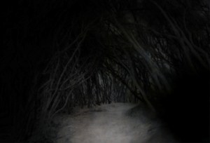 dark path