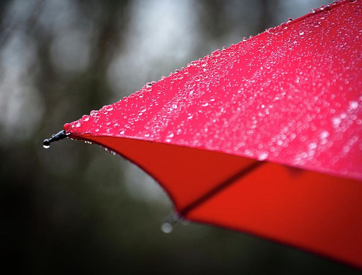 red umbrella